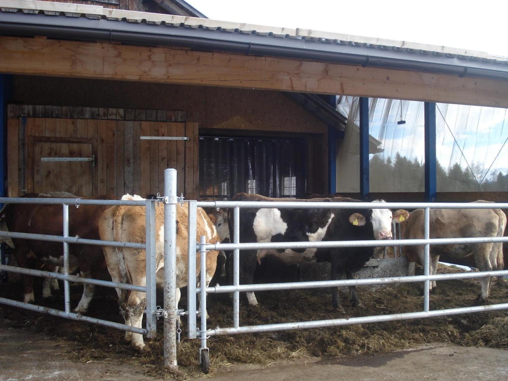 Haus Mondspitze Bürserberg Exterior foto